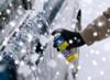 MICHELIN dégivrant serrures hiver 50ml