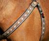 FIDELAMI Harnais Chien, motif SPA, taille M 49 > 68 cm