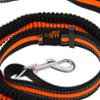 FIDELAMI Laisse Extensible Anti-chocs,1 à 3m, Course, Canicross