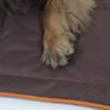 FIDELAMI Tapis pour Animaux, Modulable et résistant aux salissures