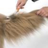 FIDELAMI Cadre à picots inoxydables montés sur coussin d'air pour chien ou chat