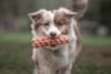 FIDELAMI Jeu tressé, jeu sportif pour chien