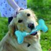 FIDELAMI Os textile bleu pour petit chien ou chiot