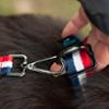 FIDELAMI Collier pour Chien Bleu Blanc Rouge, Léger, L 33 < 55 cm