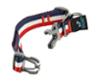 FIDELAMI Collier pour Chien Bleu Blanc Rouge, Léger, L 33 < 55 cm