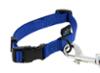 FIDELAMI Collier pour Chien Signature, Nylon Resistant Bleu, L 37 à 55 cm