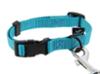 FIDELAMI Collier pour Chien Signature, Nylon Resistant Turquoise, L 37 à 55 cm