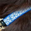 FIDELAMI Collier Réfléchissant Chien, Motif géométrique, Bleu Nuit, S 38 à 60 cm