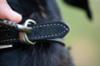 FIDELAMI Collier Boucle pour Chien, Imitation Cuir, Noir uni, M : 34 à 41 cm