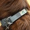 FIDELAMI Collier pour Chien, en Tissus Recyclé, Gris Chiné, L : 34 à 55 cm
