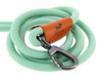 FIDELAMI Laisse pour Chien, Corde Recyclée, Lagon Vert d'eau, 150 cm