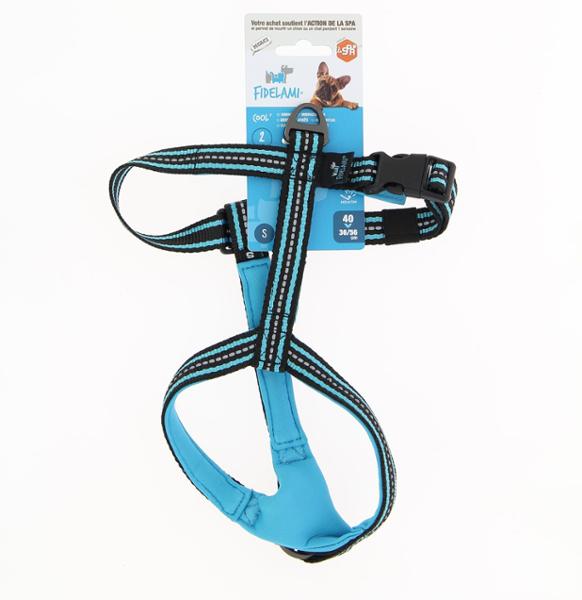 FIDELAMI Harnais Chien Calme, 2 accroches : Promenade, Education, Bleu ,Taille S