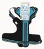 FIDELAMI Harnais Chien, 3 accroches : sport, promenade, éducation, Bleu Taille M