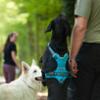 FIDELAMI Harnais Chien, 3 accroches : sport, promenade, éducation, Bleu Taille M