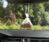 BIO AUTO NATURE Désodorisant Voiture, Sachet à suspendre, Senteur Menthe Fraiche