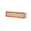 PURFLUX filtre à air A1229